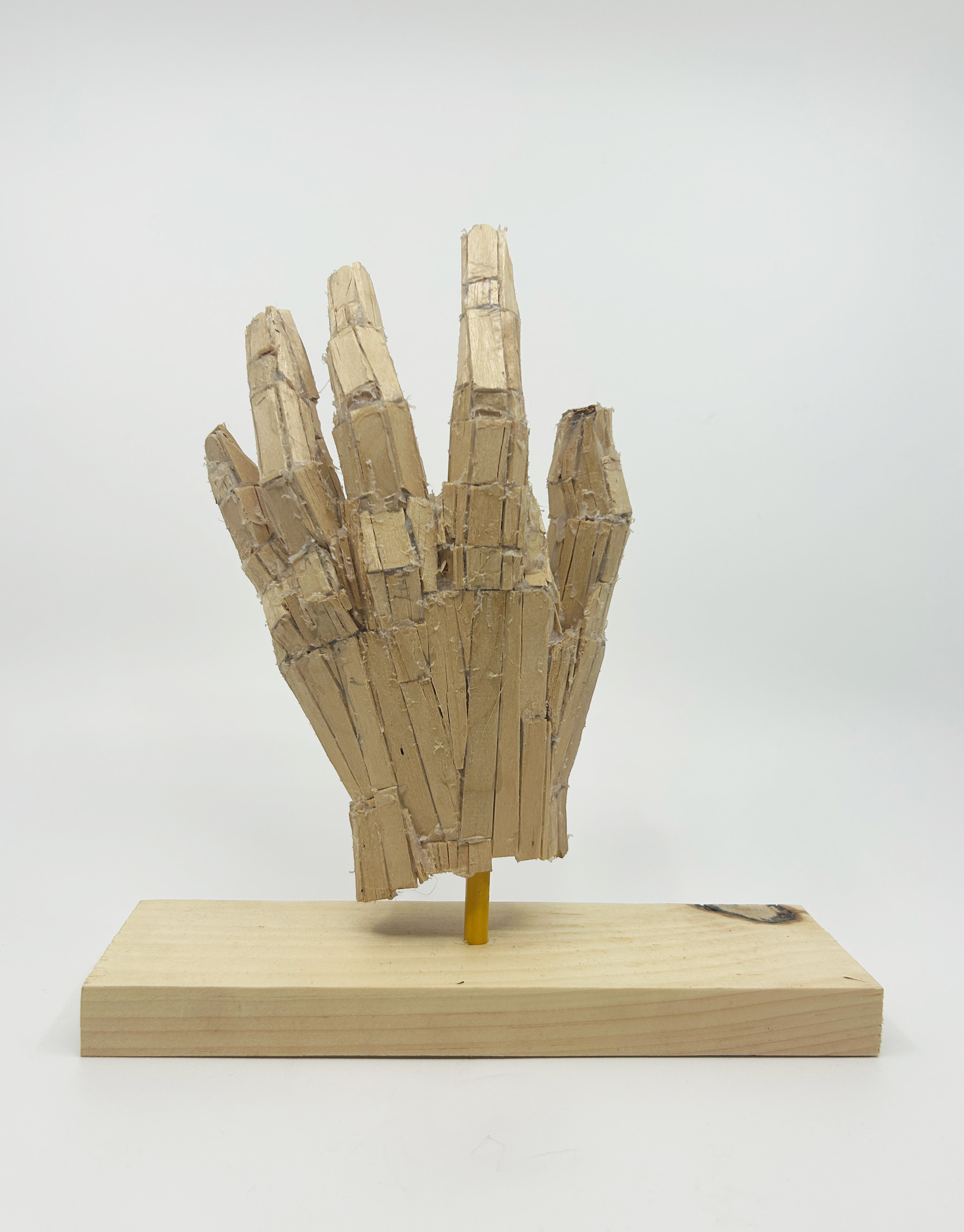 popsicle hand front