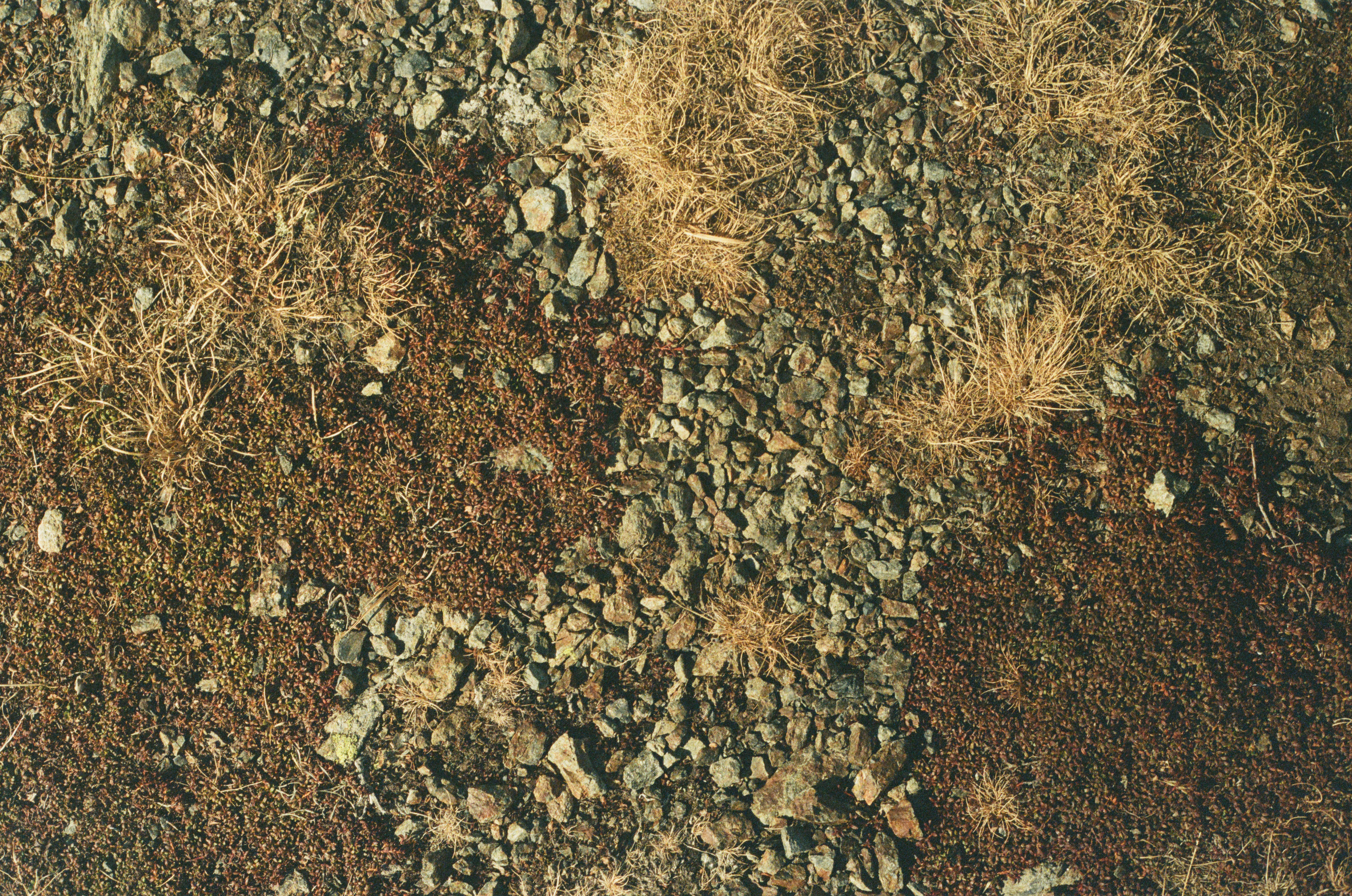 ground