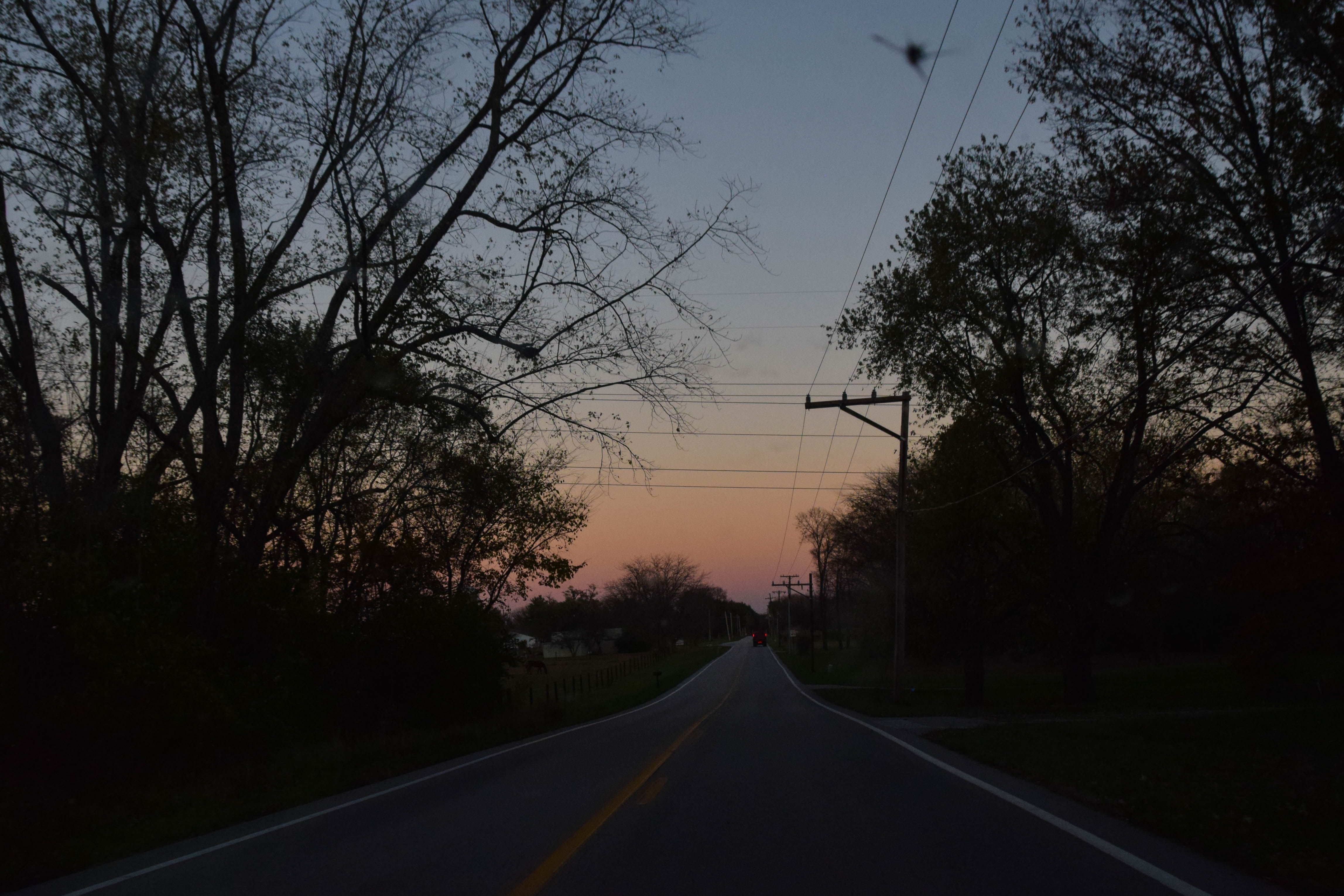 driving