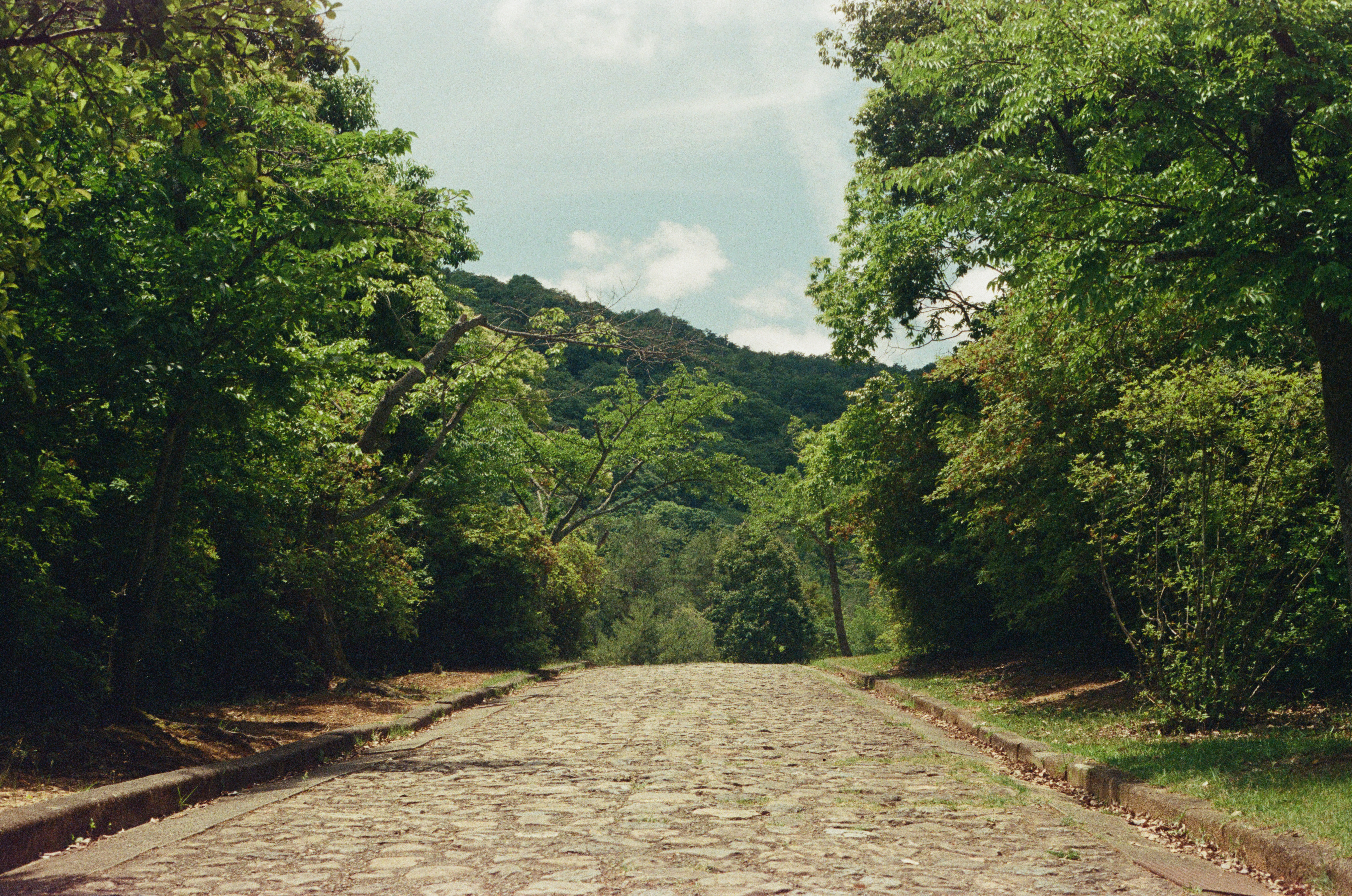 landscape2