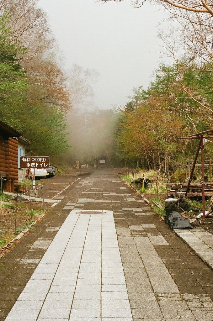 landscape4
