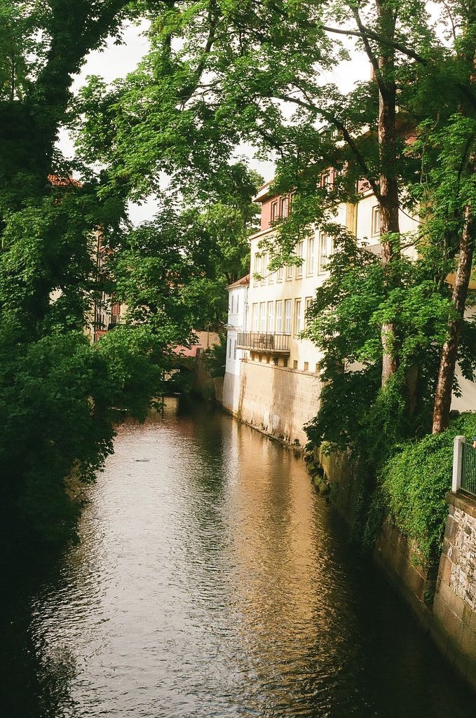 1981